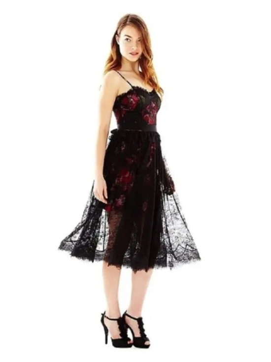 Pearl by Georgina Chapman Dresses & Skirts - Pearl by Georgina Chapman Floral Lace Dress Sz 2